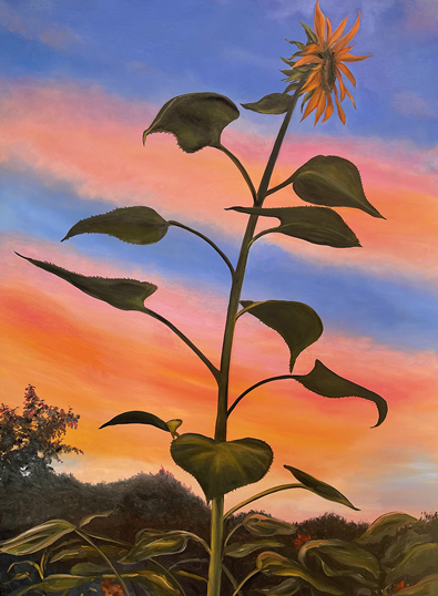 Sunset Sunflower 40x30 by Lil Olive